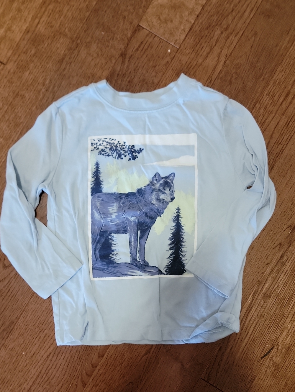 Light Blue Kids Long-Sleeve Shirt with Wolf Graphic